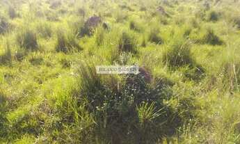 Imagem 6: Fazenda para Venda em Corumbá, Centro