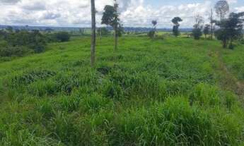 Imagem: Fazenda 78 alqueires com 60 aberto! em Rurópolis