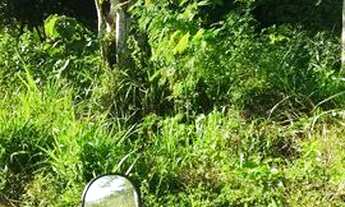 Imagem: Lote 10x25 Vendo ou Troco