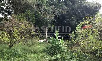 Imagem 3: Terreno plano a venda Campo Grande