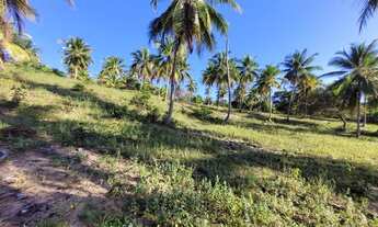 Imagem 7: Terreno para venda em Barra do Itariri - Conde - BA