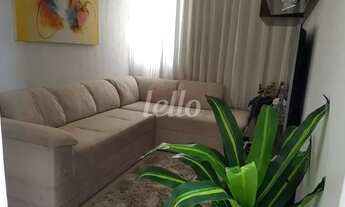 Imagem 2: São Paulo - Apartamento Padrão - Santa Cecília