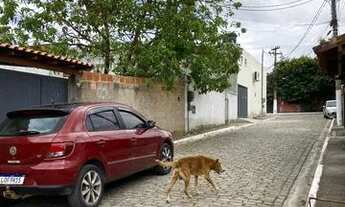 Imagem 4: Imovel misto come para venda tem 90 metros quadrados com 2 quartos em Rasa - Armação dos B