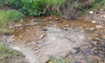Imagem 4: 10 Alqueires e 47 litros Em Córrego do Ouro