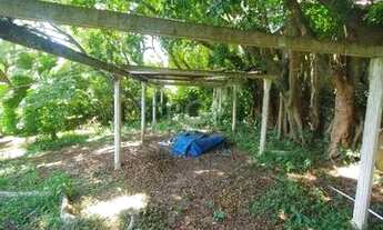 Imagem 7: Terreno em Teresópolis