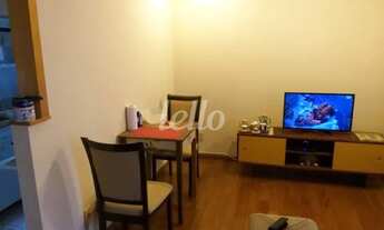 Imagem 4: São Paulo - Apartamento Padrão - Moema