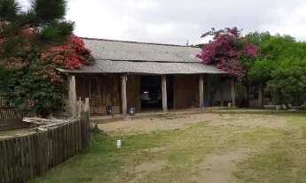 Imagem 6: Sítio em Lami Chácara com venda por R$480.000