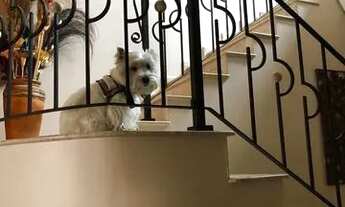 Imagem 2: CASA EM CONDOMÍNIO PARA LOCAÇÃO NO JARDIM ESPLANADA DO SOL