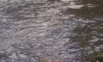 Imagem 5: Vendo uma chácara com 4 hectares (40,000m) - Aceita imóveis (-) valor