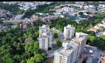 Imagem 7: Alugo apartamento na serraria