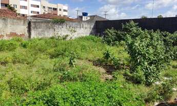 Imagem: Terreno localizado no Geisel