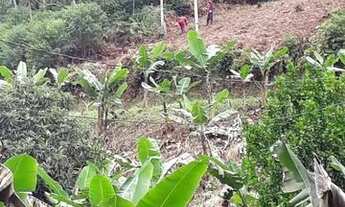 Imagem 5: 5 alqueires Itariri SP LEIA O ANUNCIO