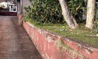 Imagem 5: Terreno - Apucarana