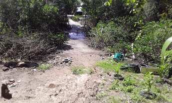 Imagem 4: Casa na piabetinha