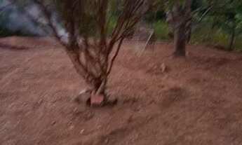 Imagem 4: Vendo uma chácara com 4 hectares (40,000m) - Aceita imóveis (-) valor