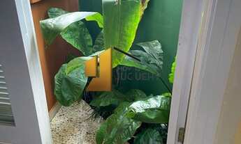 Imagem 7: Casa ampla em Barra do Sahy