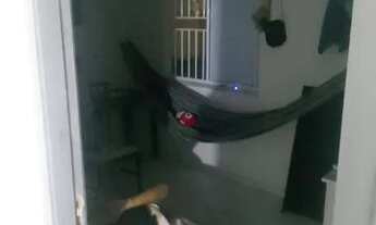 Imagem 5: Vendo . Uma casa . Do programa minha casa minha vida