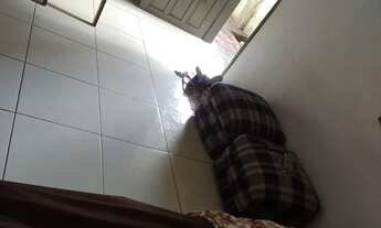 Imagem 2: Aluguel de casa na rua principal