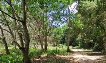 Imagem 4: Sítio Chácara maravilhosa e plana à beira do Rio de 20 mil metros