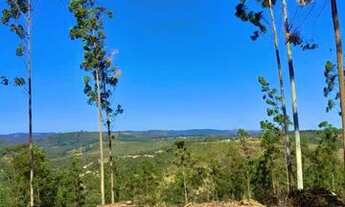 Imagem 4: Construa seu lar dos sonhos! Lote de 600m² disponível para venda