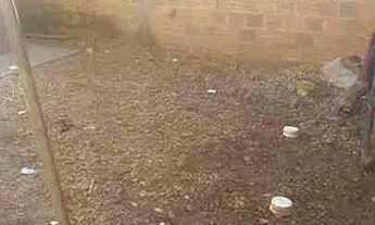 Imagem 5: Ágil altos com 2 quarto 1 suíte 1 cozinha sala terraço