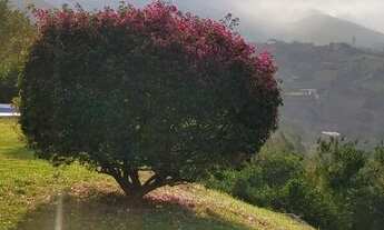 Imagem 6: QUINTA DO LAGO - OPORTUNIDADE