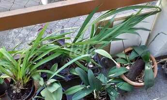 Imagem 5: São Paulo - Apartamento Padrão - Tucuruvi