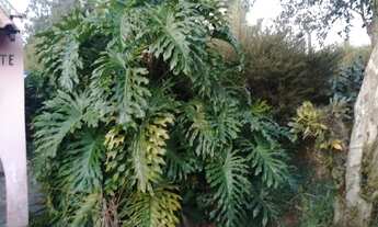 Imagem 7: Casa à venda no bairro Cajuru - Curitiba/PR