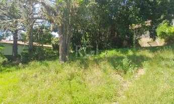 Imagem 6: Terreno em Teresópolis