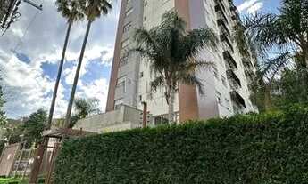 Imagem 5: PORTO ALEGRE - Padrão - Menino Deus