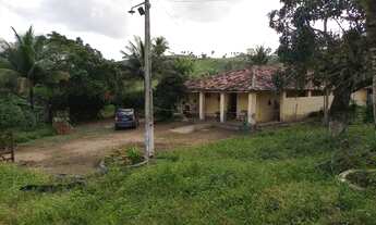 Imagem 4: Chácara com um belíssimo terreno frutíferas