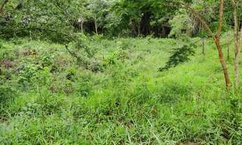 Imagem 7: FAZENDINHA com Riachinho ou Lago, 2 x de R$12.500,00 mais parcelas