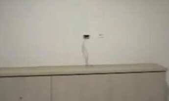 Imagem 4: Casa pra alugar Casa com 3 dormitórios