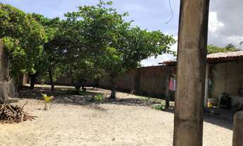 Imagem 3: Terreno lagoa do banana