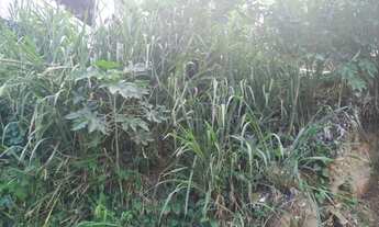 Imagem 5: VENDE-SE TERRENO NO CANTAGALO