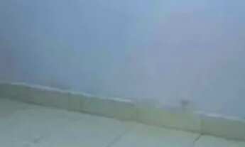 Imagem 7: Casa no Icuí, conjunto uirapuru