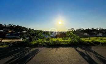 Imagem 2: Terreno à venda em Estância Velha, União, com 352 m²