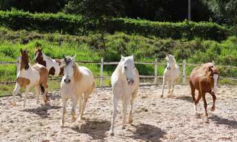 Imagem 4: Em Itaporanga Dajuda - Itaporanga Dajuda