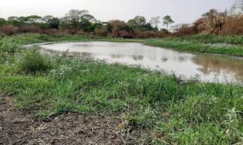 Imagem: Fazenda/Sítio/Chácara para venda tem 17000000