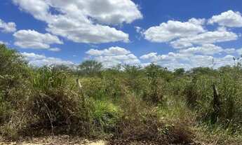 Imagem 2: Tarefas de terra