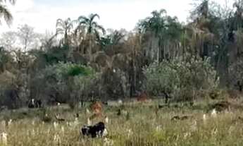 Imagem 4: O ESPAÇO PERFEITO PARA CONSTRUIR OU INVESTIR, EM UMA ÁREA CERCADA PELA NATUREZA! SAIBA MAI