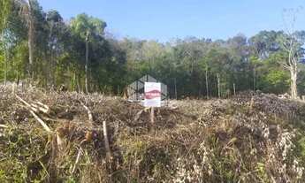 Imagem 2: Terrenos 705 m² Loteamento no Bairro Piá
