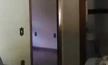 Imagem 3: Casa em Restinga