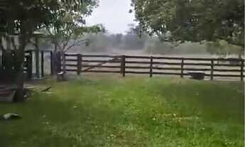 Imagem: SÍTIO 20 HECTARES PROX CINQUENTINHA