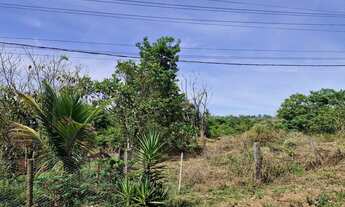 Imagem 3: Vendo Chácara com venda por R$600.000