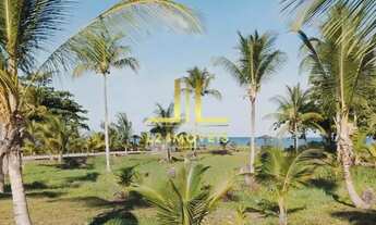 Imagem 2: TERRENO - FRENTE MAR - MORRO DE SÃO PAULO