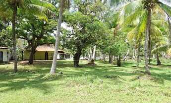 Imagem 6: Sítio com 7380m² à venda na Massagueira em Marechal Deodoro