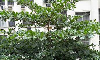 Imagem 7: Aluguel de quarto - Copacabana