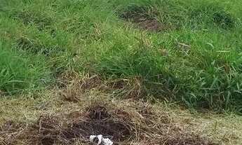 Imagem 2: Terreno em Pindamonhangaba