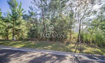 Imagem: TERRENO EM GRAMADO